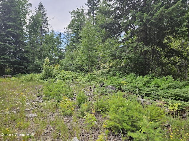 354 Swamp Donkey Trl, Sandpoint, ID 83864 - photo 11