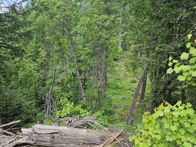 354 Swamp Donkey Trl, Sandpoint, ID 83864 - photo 12