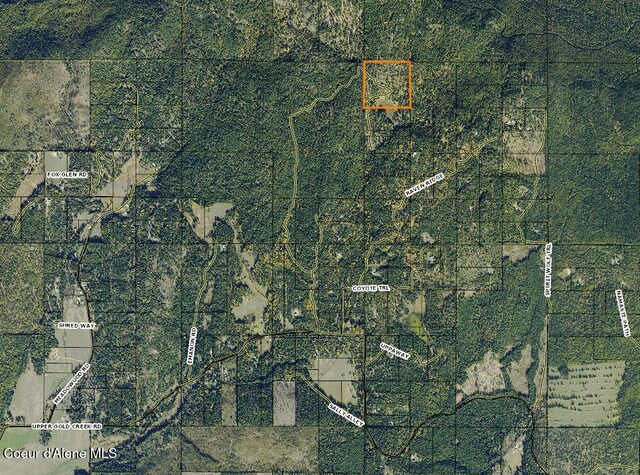 354 Swamp Donkey Trl, Sandpoint, ID 83864 - photo 13