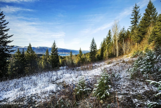 Lot2 Forever View, Sagle, ID 83860 - photo 9
