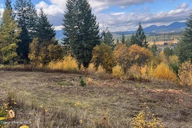 Lot2 Forever View, Sagle, ID 83860 - photo 10