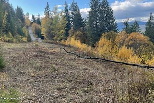Lot2 Forever View, Sagle, ID 83860 - photo 11