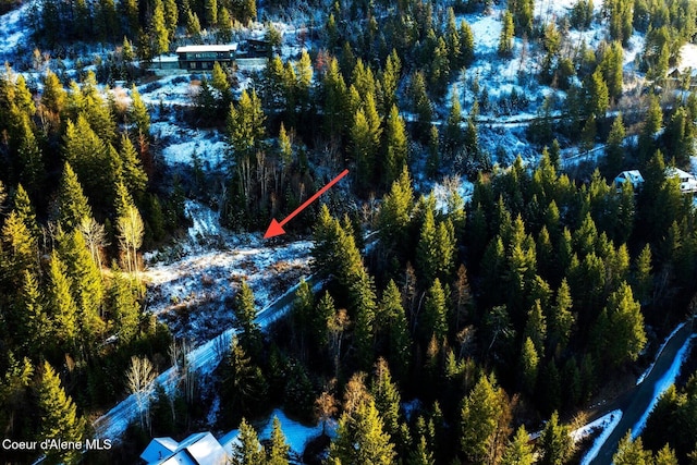 Lot2 Forever View, Sagle, ID 83860 - photo 16