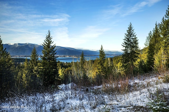 Lot2 Forever View, Sagle, ID 83860 - photo 17