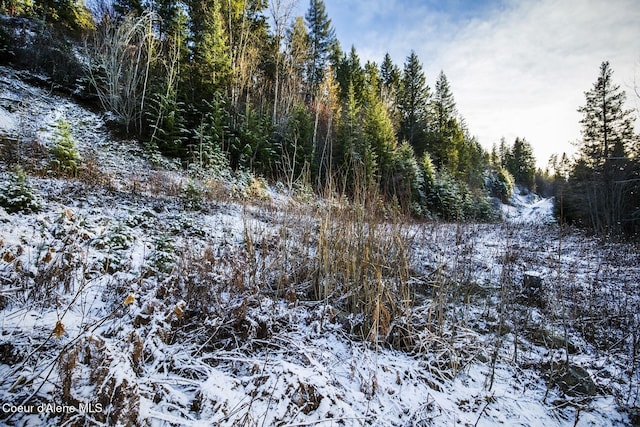 Lot2 Forever View, Sagle, ID 83860 - photo 18