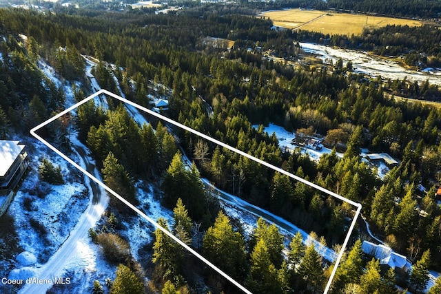 Lot2 Forever View, Sagle, ID 83860 - photo 20