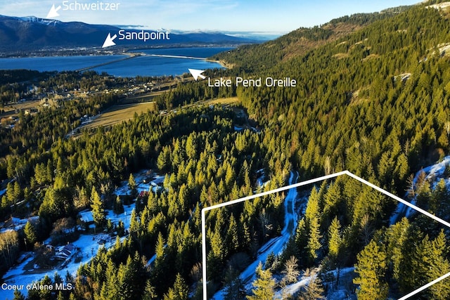 Lot2 Forever View, Sagle, ID 83860 - photo 23