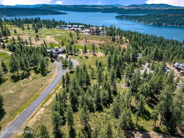 L182 S Basonite Ct, Coeur Dalene, ID 83814 - photo 1