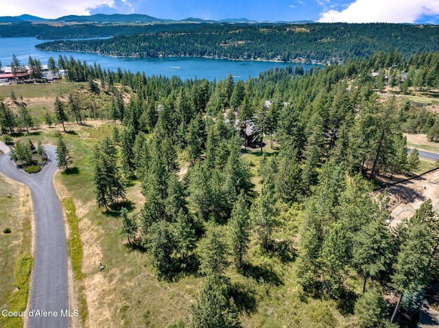 L182 S Basonite Ct, Coeur Dalene, ID 83814 - photo 2