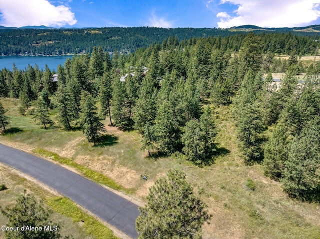 L182 S Basonite Ct, Coeur Dalene, ID 83814 - photo 3