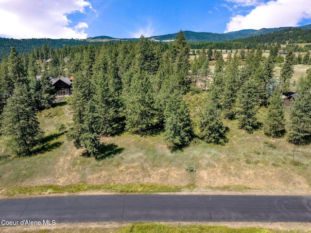 L182 S Basonite Ct, Coeur Dalene, ID 83814 - photo 4