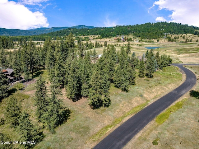 L182 S Basonite Ct, Coeur Dalene, ID 83814 - photo 5