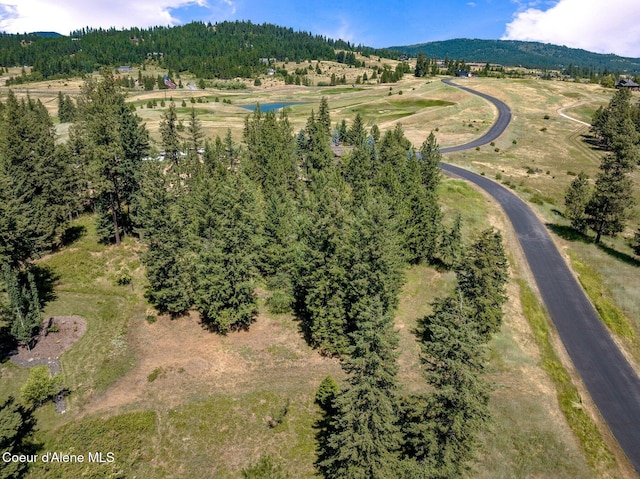 L182 S Basonite Ct, Coeur Dalene, ID 83814 - photo 6