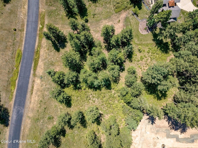 L182 S Basonite Ct, Coeur Dalene, ID 83814 - photo 7