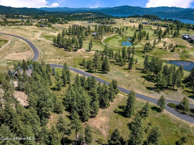 L182 S Basonite Ct, Coeur Dalene, ID 83814 - photo 9