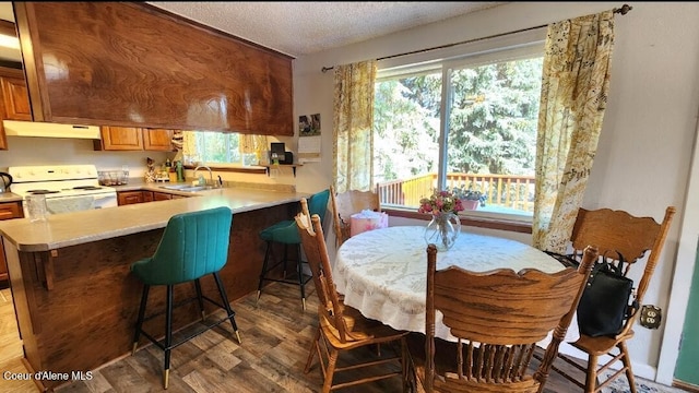 1150 Elm Dr, Saint Maries, ID 83861 - dining room with a textured ceiling and wood finished floors