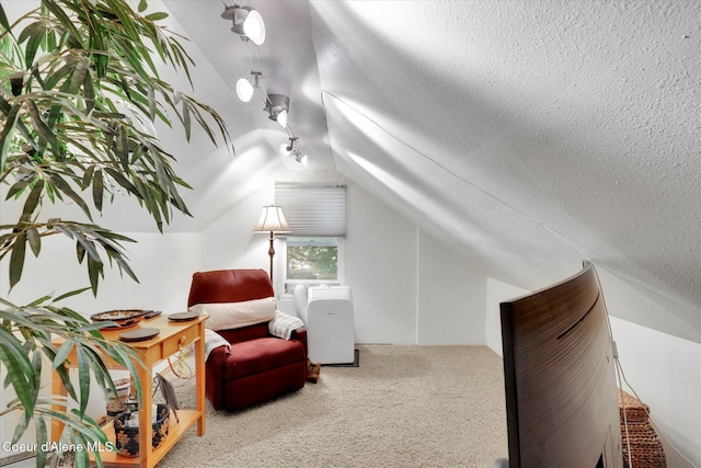 1505 N 3rd, Coeur Dalene, ID 83814 - living area featuring lofted ceiling, carpet flooring, and a textured ceiling