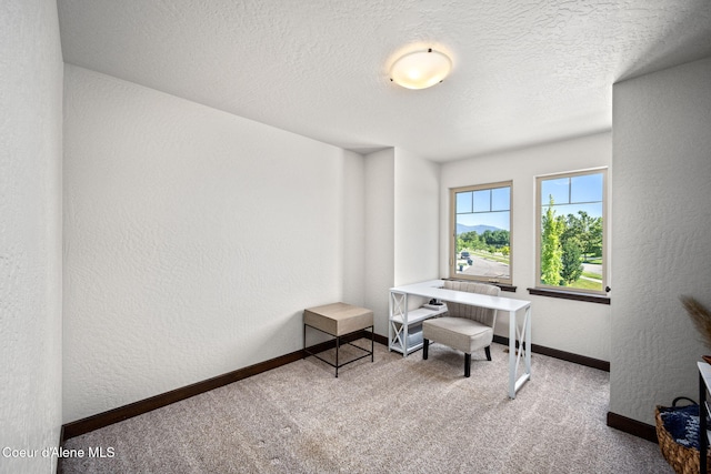 2499 N N Side Saddle Ln, Post Falls, ID 83854 - carpeted office featuring a textured wall and a textured ceiling