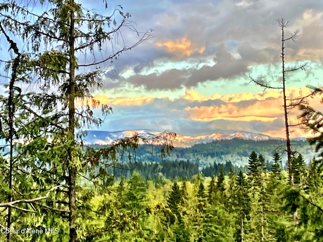NNA White Mountain Rd, Sandpoint, ID 83864 - photo 1