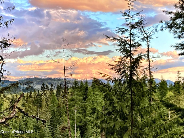 NNA White Mountain Rd, Sandpoint, ID 83864 - photo 3