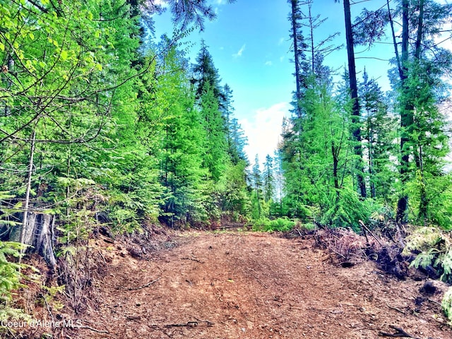 NNA White Mountain Rd, Sandpoint, ID 83864 - photo 4
