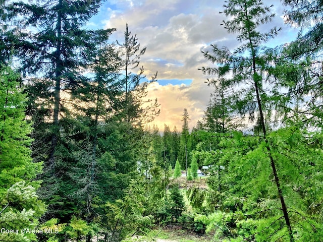 NNA White Mountain Rd, Sandpoint, ID 83864 - photo 6