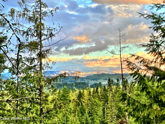 NNA White Mountain Rd, Sandpoint, ID 83864 - photo 7