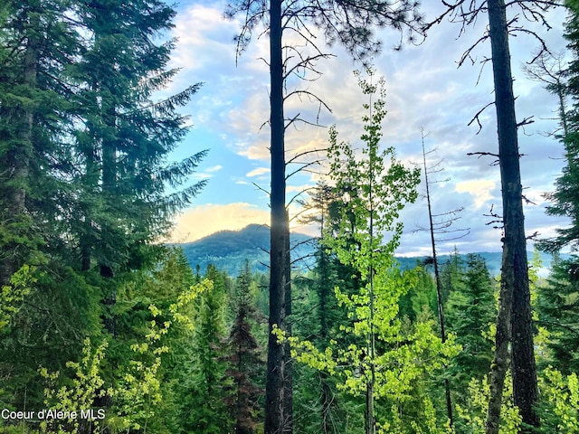 NNA White Mountain Rd, Sandpoint, ID 83864 - photo 8
