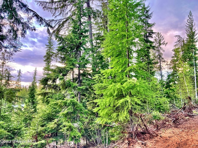 NNA White Mountain Rd, Sandpoint, ID 83864 - photo 9