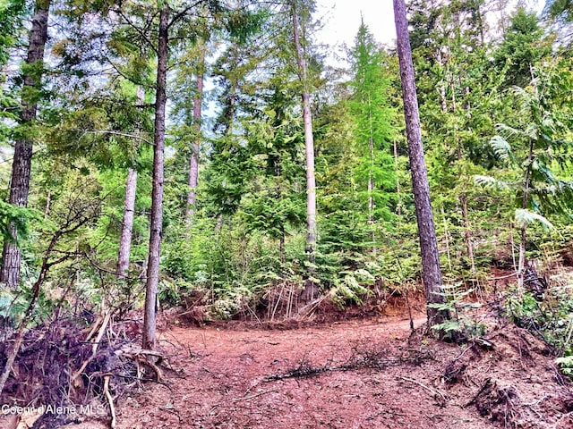 NNA White Mountain Rd, Sandpoint, ID 83864 - photo 10