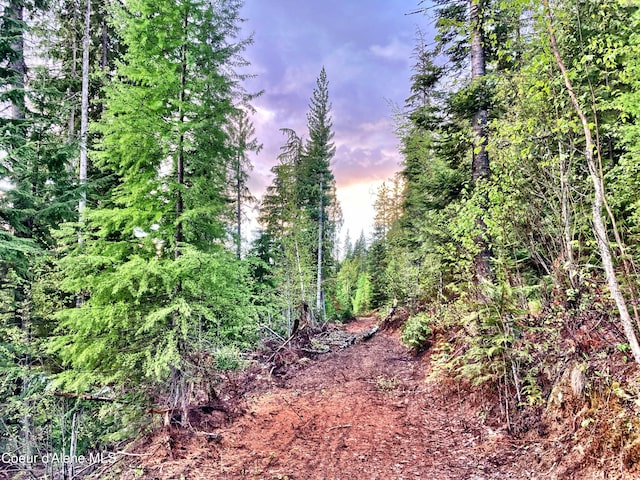 NNA White Mountain Rd, Sandpoint, ID 83864 - photo 11