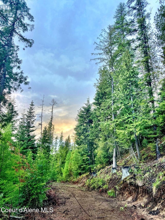 NNA White Mountain Rd, Sandpoint, ID 83864 - photo 13