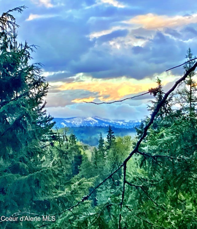 NNA White Mountain Rd, Sandpoint, ID 83864 - photo 14