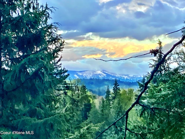 NNA White Mountain Rd, Sandpoint, ID 83864 - photo 15