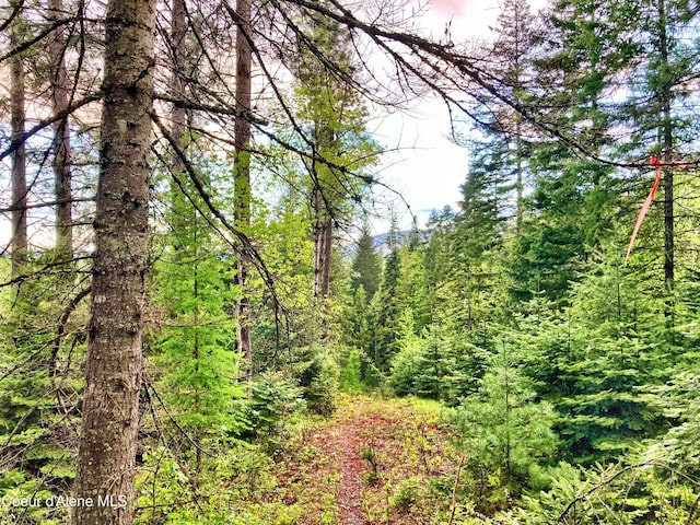 NNA White Mountain Rd, Sandpoint, ID 83864 - photo 16