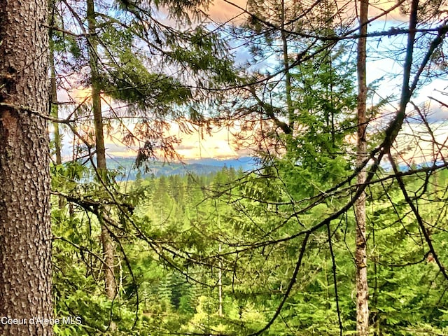NNA White Mountain Rd, Sandpoint, ID 83864 - photo 17
