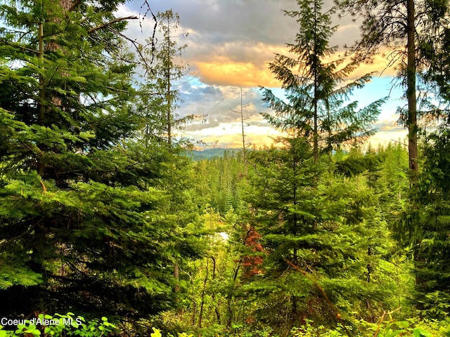 NNA White Mountain Rd, Sandpoint, ID 83864 - photo 18
