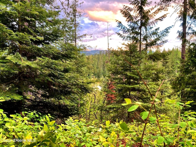 NNA White Mountain Rd, Sandpoint, ID 83864 - photo 19