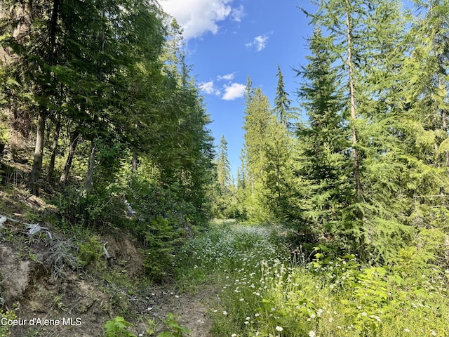 NNA White Mountain Rd, Sandpoint, ID 83864 - photo 32