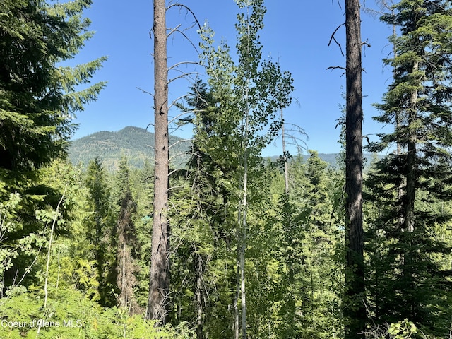 NNA White Mountain Rd, Sandpoint, ID 83864 - photo 33