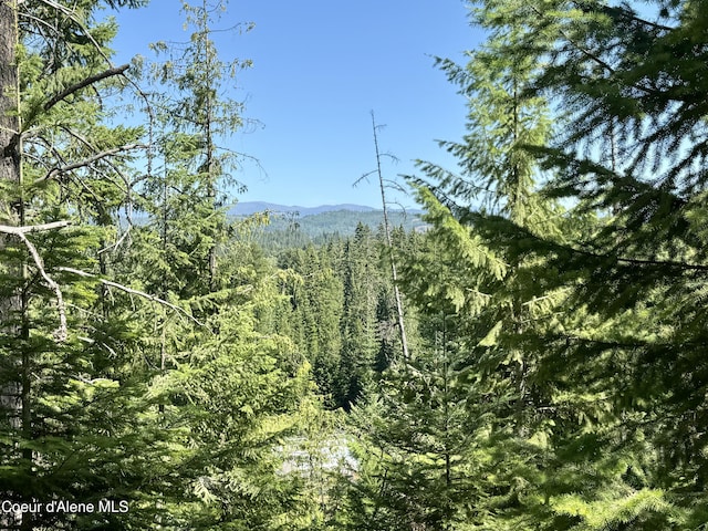 NNA White Mountain Rd, Sandpoint, ID 83864 - photo 34
