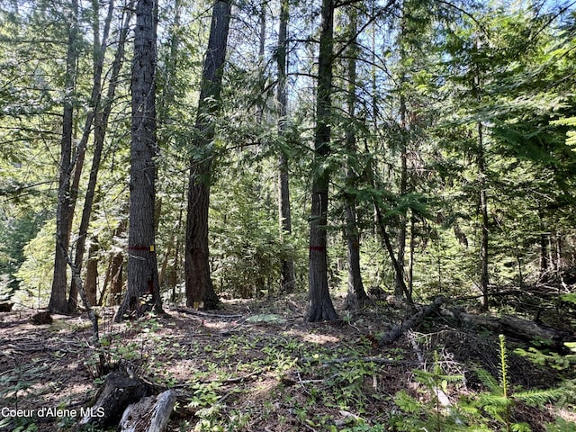 NNA White Mountain Rd, Sandpoint, ID 83864 - photo 35