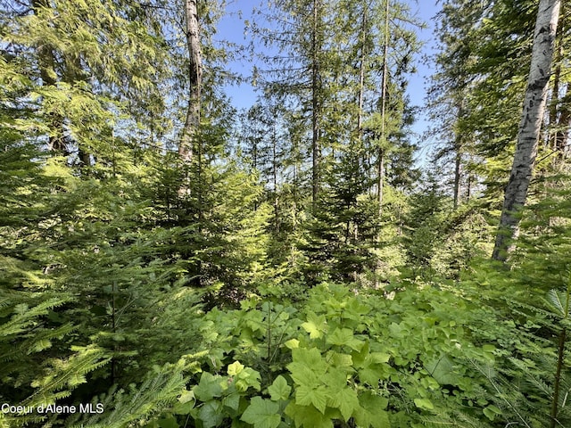 NNA White Mountain Rd, Sandpoint, ID 83864 - photo 36