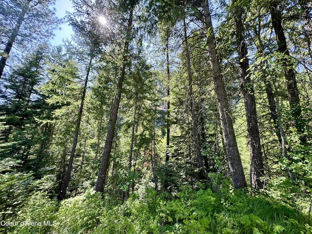 NNA White Mountain Rd, Sandpoint, ID 83864 - photo 37