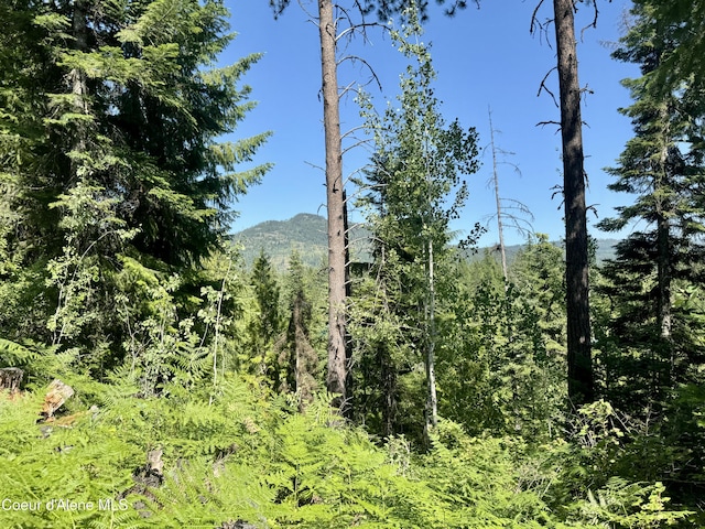 NNA White Mountain Rd, Sandpoint, ID 83864 - photo 38