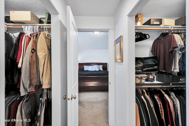 3631 N Britton Rd, Post Falls, ID 83854 - spacious closet featuring carpet floors