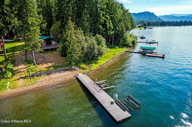 527 W Seneacquoteen, Priest River, ID 83856 - photo 4