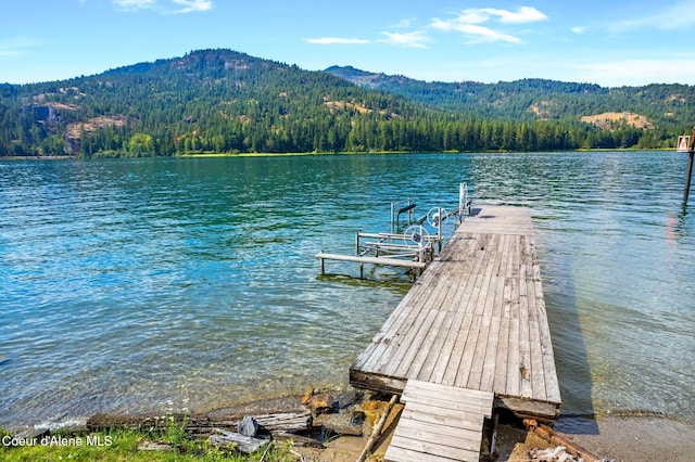 527 W Seneacquoteen, Priest River, ID 83856 - photo 42