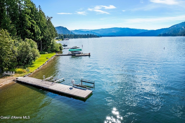 527 W Seneacquoteen, Priest River, ID 83856 - photo 45