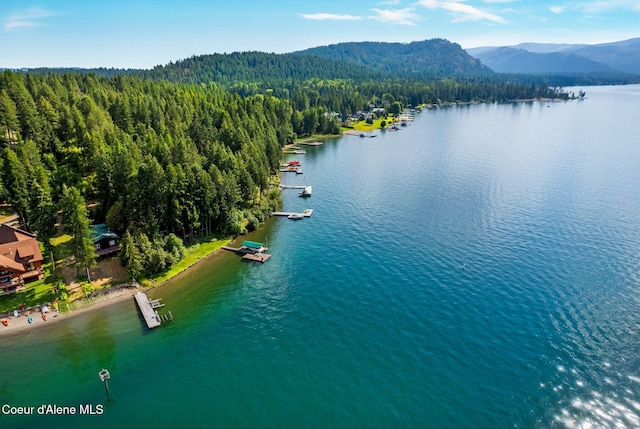 527 W Seneacquoteen, Priest River, ID 83856 - photo 48